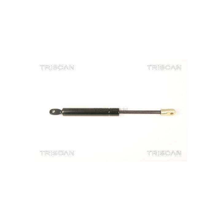 Dujinė spyruoklė, bagažinė TRISCAN 8710 20201