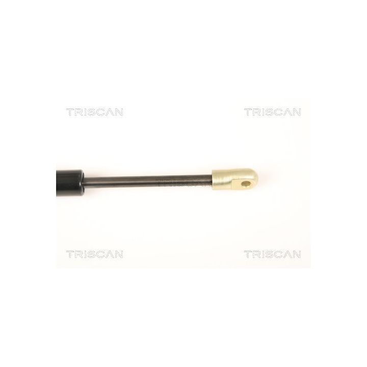 Dujinė spyruoklė, bagažinė TRISCAN 8710 20201