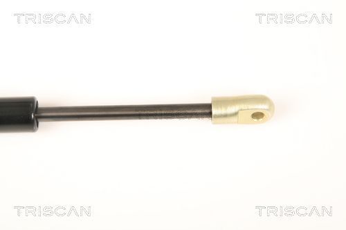 Dujinė spyruoklė, bagažinė TRISCAN 8710 20201