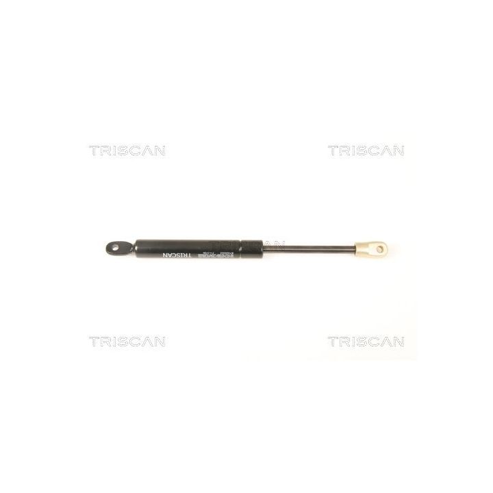 Dujinė spyruoklė, bagažinė TRISCAN 8710 20202