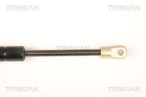 Dujinė spyruoklė, bagažinė TRISCAN 8710 20202