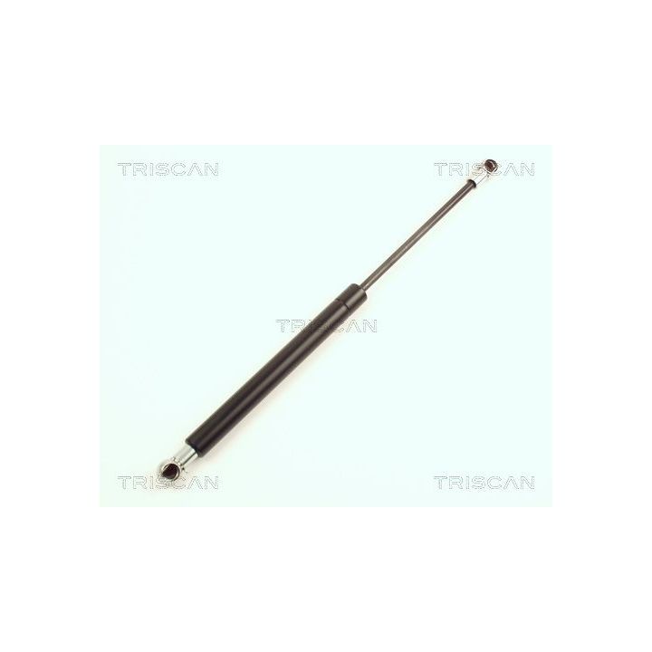 Dujinė spyruoklė, bagažinė TRISCAN 8710 23204