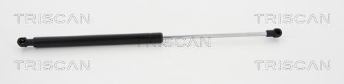 Dujinė spyruoklė, bagažinė TRISCAN 8710 23233