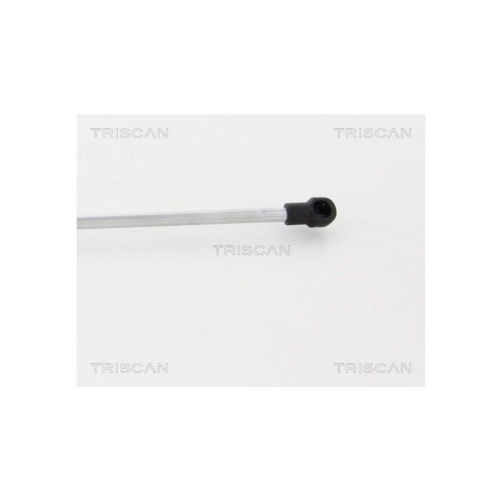 Dujinė spyruoklė, bagažinė TRISCAN 8710 23233