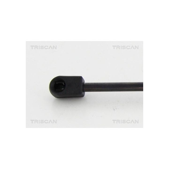 Dujinė spyruoklė, bagažinė TRISCAN 8710 23239