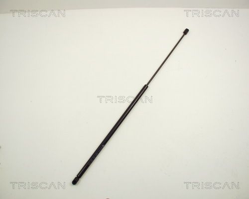 Dujinė spyruoklė, bagažinė TRISCAN 8710 24210