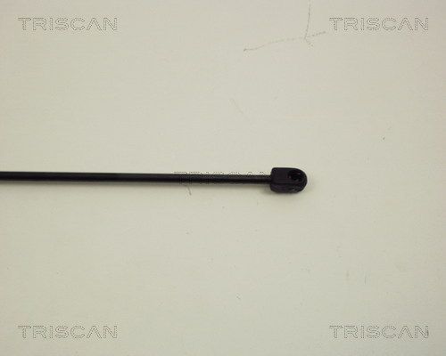 Dujinė spyruoklė, bagažinė TRISCAN 8710 24210