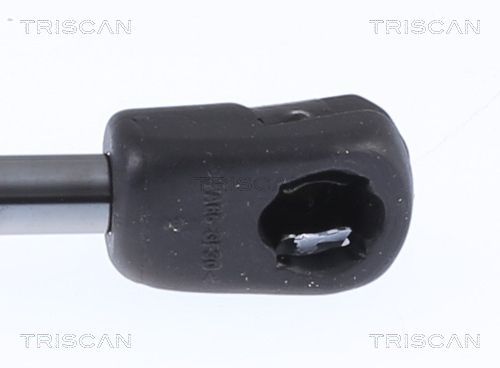 Dujinė spyruoklė, bagažinė TRISCAN 8710 24291