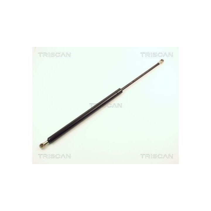 Dujinė spyruoklė, bagažinė TRISCAN 8710 2508