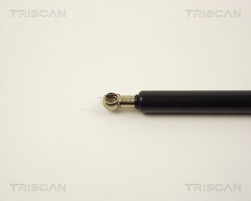 Dujinė spyruoklė, bagažinė TRISCAN 8710 2508