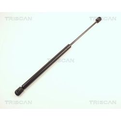 Dujinė spyruoklė, bagažinė TRISCAN 8710 25202