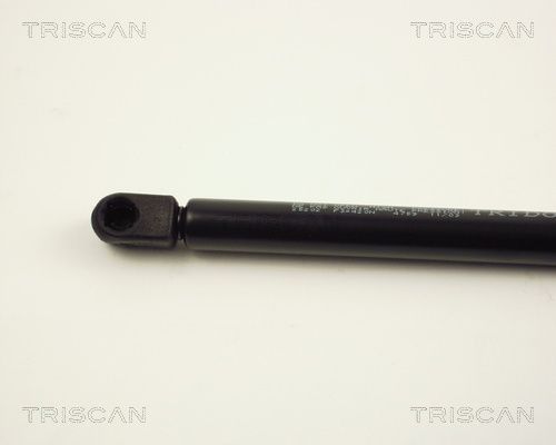 Dujinė spyruoklė, bagažinė TRISCAN 8710 25202