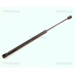 Dujinė spyruoklė, bagažinė TRISCAN 8710 25203