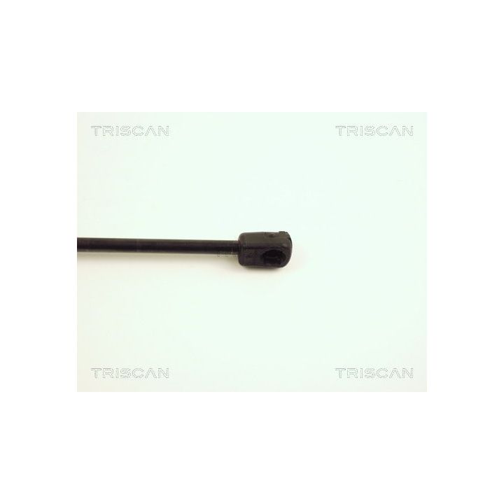 Dujinė spyruoklė, bagažinė TRISCAN 8710 25203