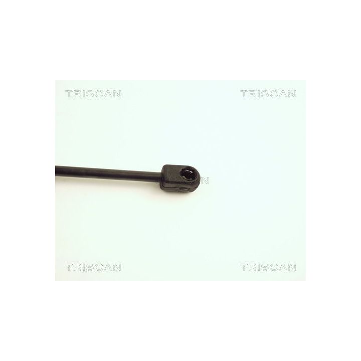 Dujinė spyruoklė, bagažinė TRISCAN 8710 25204