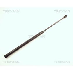 Dujinė spyruoklė, bagažinė TRISCAN 8710 25206