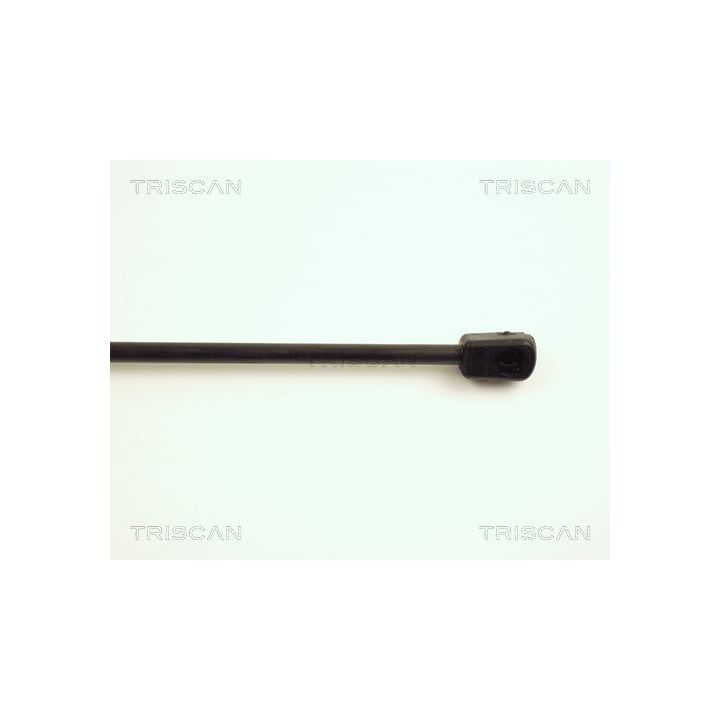 Dujinė spyruoklė, bagažinė TRISCAN 8710 25206