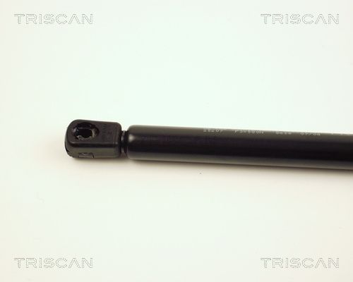 Dujinė spyruoklė, bagažinė TRISCAN 8710 25207