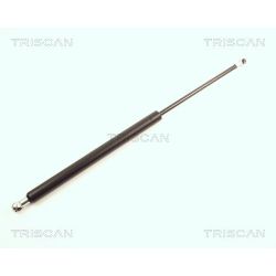 Dujinė spyruoklė, bagažinė TRISCAN 8710 25209