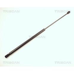 Dujinė spyruoklė, bagažinė TRISCAN 8710 25210