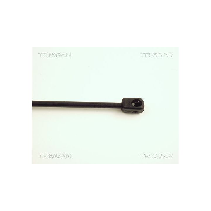 Dujinė spyruoklė, bagažinė TRISCAN 8710 25210