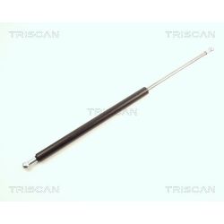 Dujinė spyruoklė, bagažinė TRISCAN 8710 25211