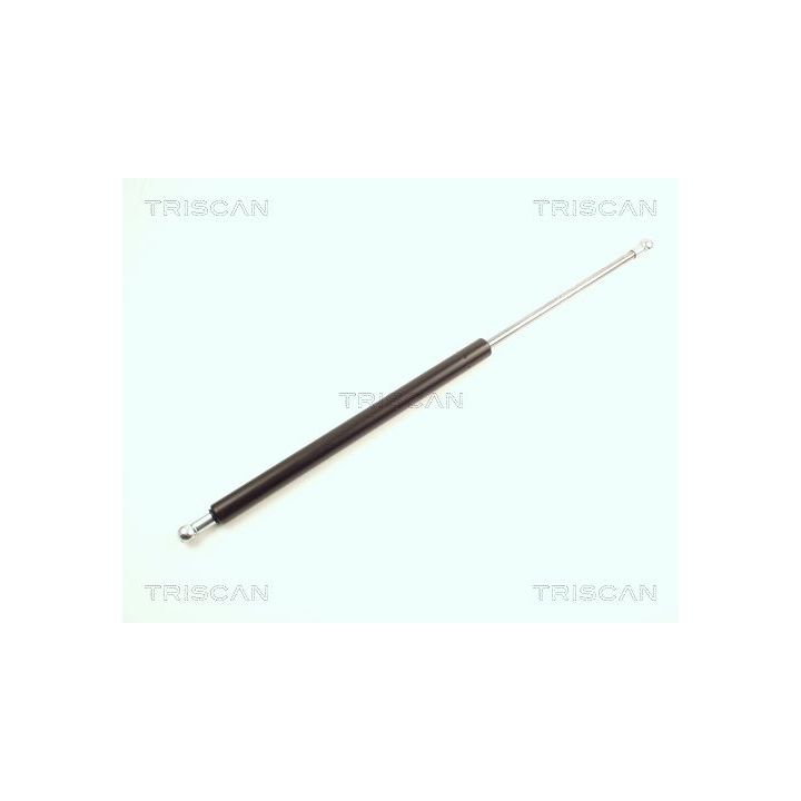 Dujinė spyruoklė, bagažinė TRISCAN 8710 25211