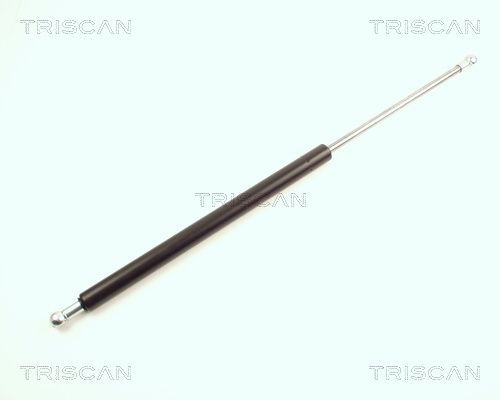 Dujinė spyruoklė, bagažinė TRISCAN 8710 25211