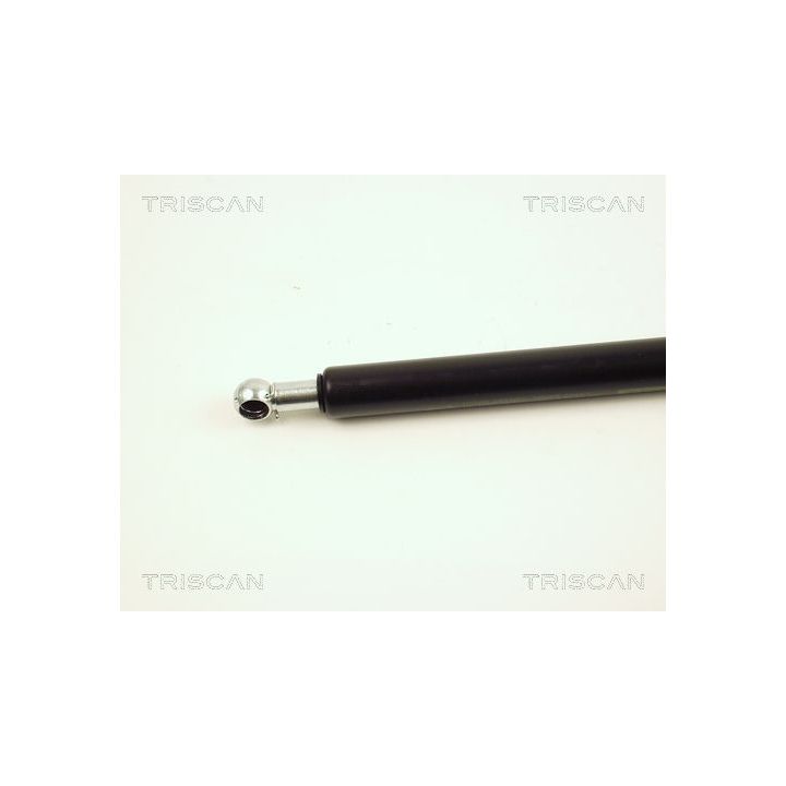 Dujinė spyruoklė, bagažinė TRISCAN 8710 25211