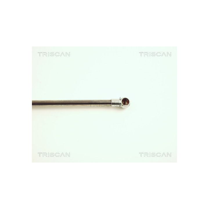 Dujinė spyruoklė, bagažinė TRISCAN 8710 25211