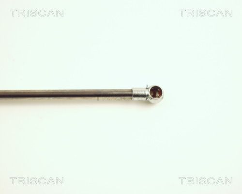 Dujinė spyruoklė, bagažinė TRISCAN 8710 25211