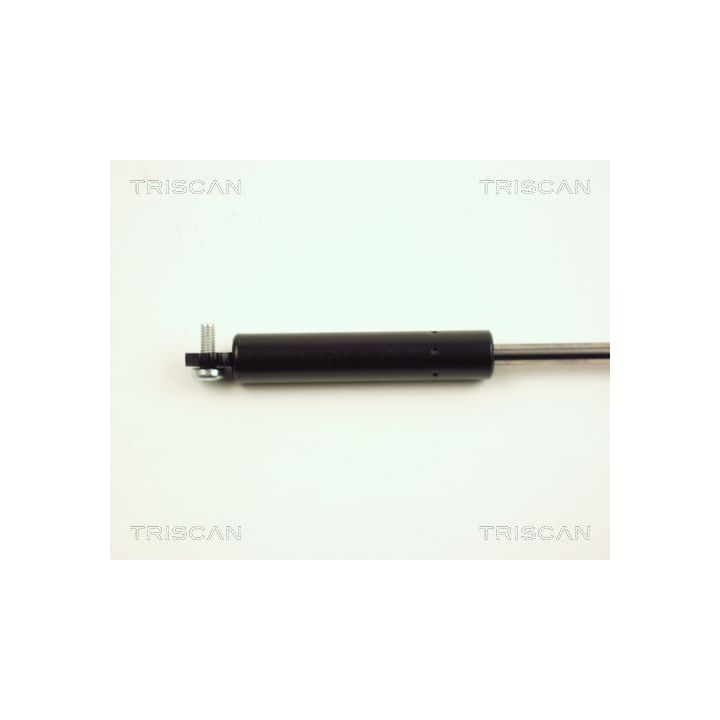 Dujinė spyruoklė, bagažinė TRISCAN 8710 25212