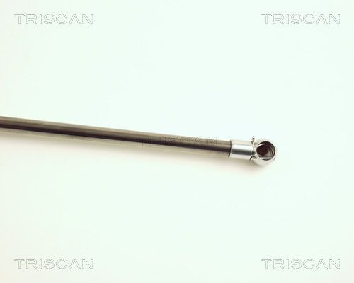 Dujinė spyruoklė, bagažinė TRISCAN 8710 25214