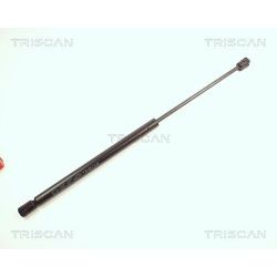 Dujinė spyruoklė, bagažinė TRISCAN 8710 25215