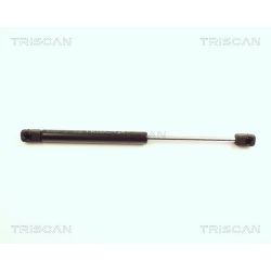 Dujinė spyruoklė, bagažinė TRISCAN 8710 25217