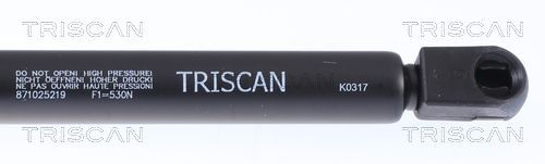 Dujinė spyruoklė, bagažinė TRISCAN 8710 25219