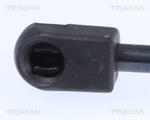 Dujinė spyruoklė, bagažinė TRISCAN 8710 25219