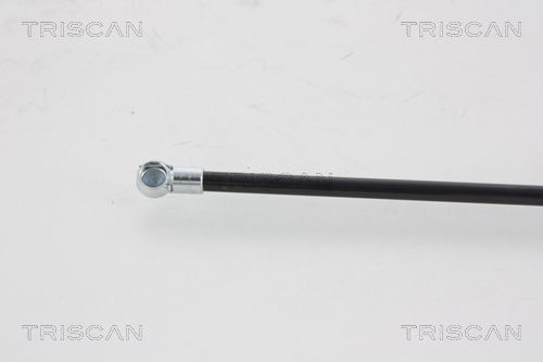 Dujinė spyruoklė, bagažinė TRISCAN 8710 25221