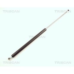 Dujinė spyruoklė, bagažinė TRISCAN 8710 25223