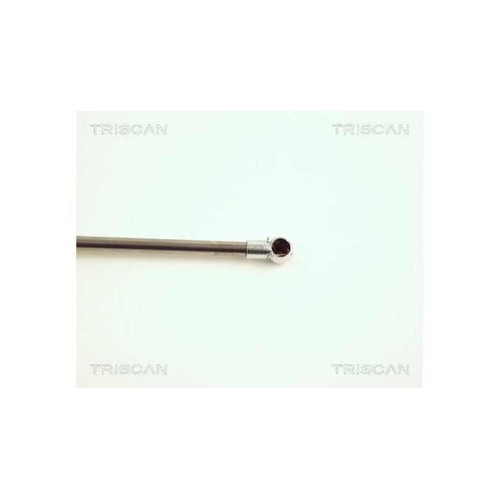 Dujinė spyruoklė, bagažinė TRISCAN 8710 25223