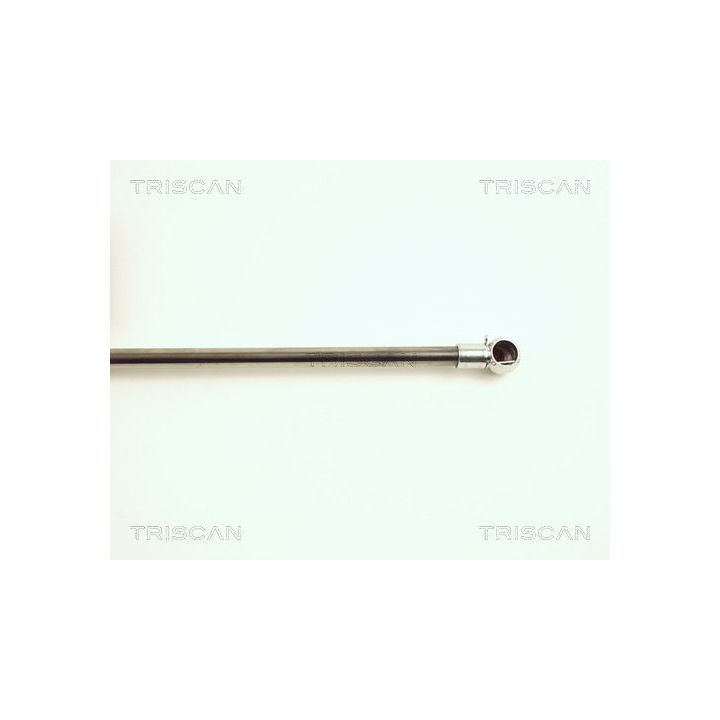 Dujinė spyruoklė, bagažinė TRISCAN 8710 25225