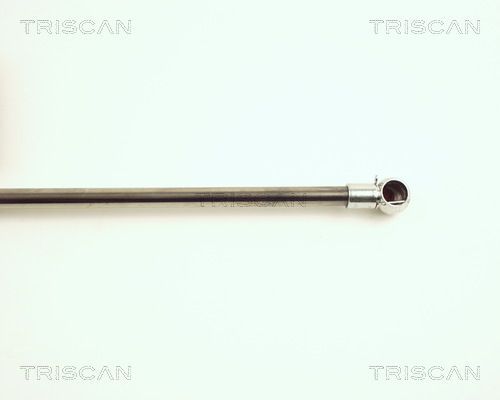 Dujinė spyruoklė, bagažinė TRISCAN 8710 25225