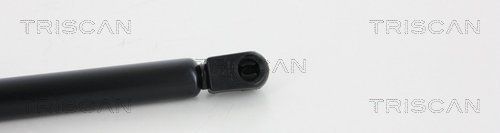 Dujinė spyruoklė, bagažinė TRISCAN 8710 25226