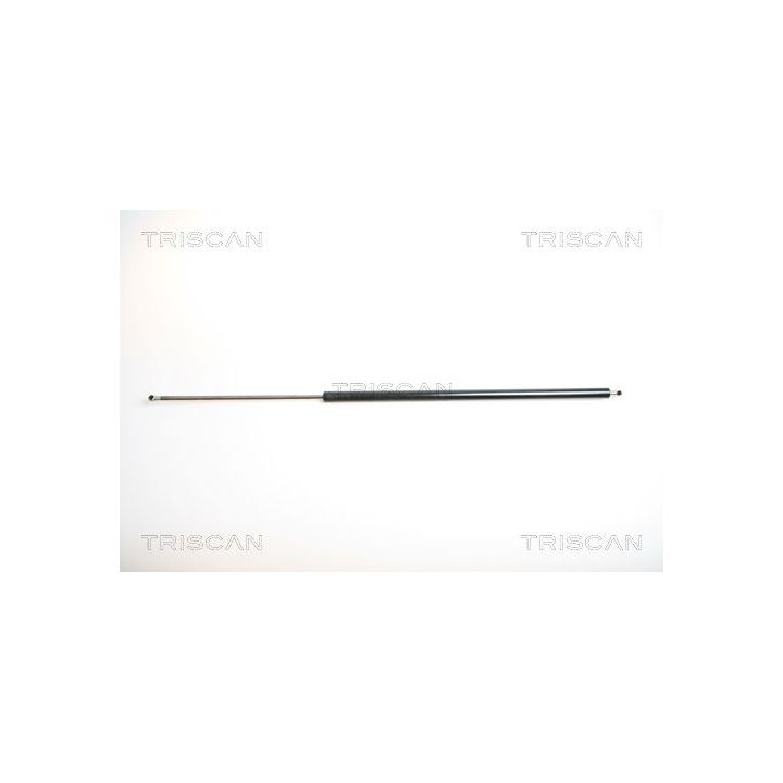 Dujinė spyruoklė, bagažinė TRISCAN 8710 25227