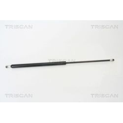 Dujinė spyruoklė, bagažinė TRISCAN 8710 25228