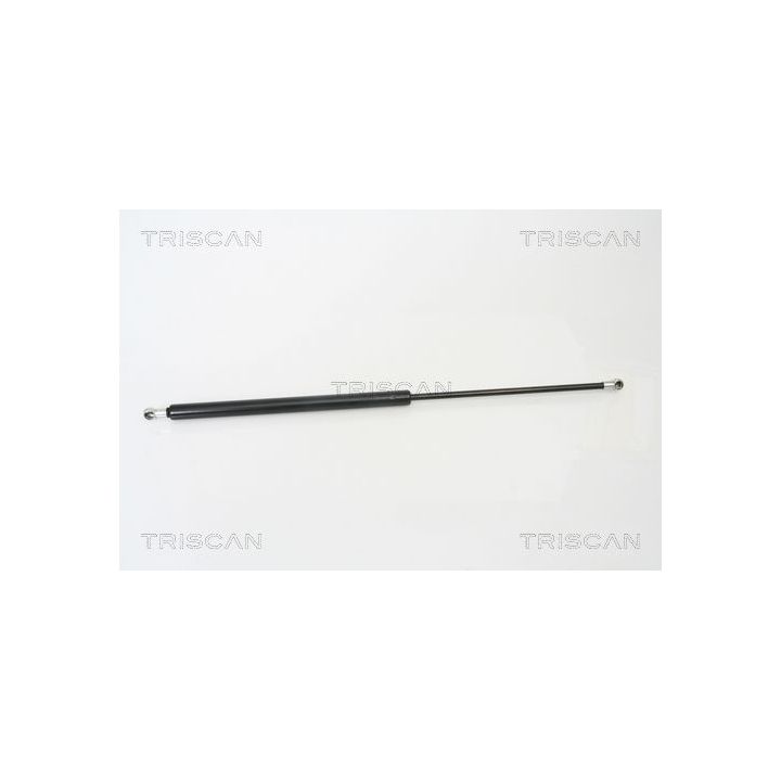 Dujinė spyruoklė, bagažinė TRISCAN 8710 25228