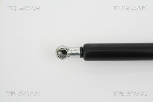 Dujinė spyruoklė, bagažinė TRISCAN 8710 25228
