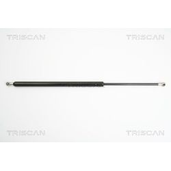 Dujinė spyruoklė, bagažinė TRISCAN 8710 25229