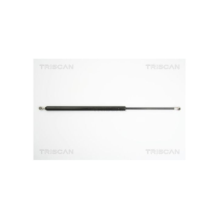 Dujinė spyruoklė, bagažinė TRISCAN 8710 25229