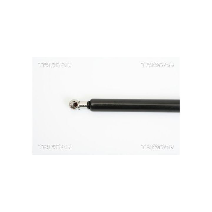 Dujinė spyruoklė, bagažinė TRISCAN 8710 25229